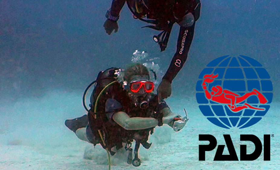 PADI Courses